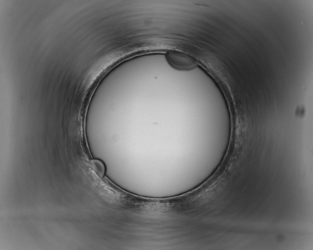 X0000115010789200911231226