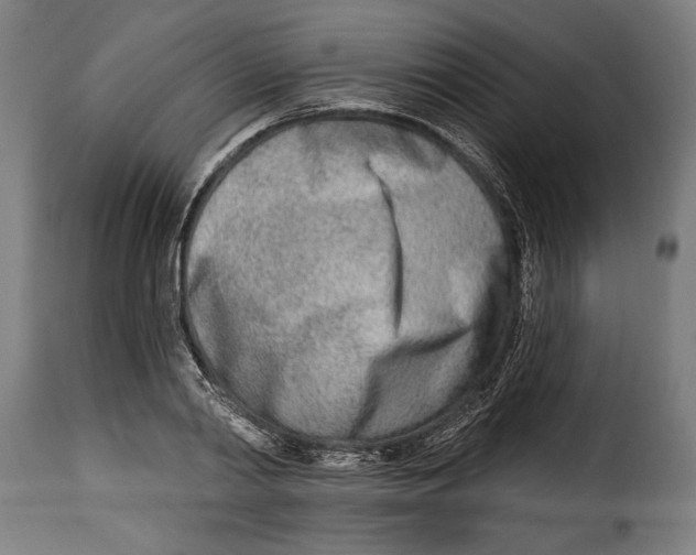 X0000115010790200911231226
