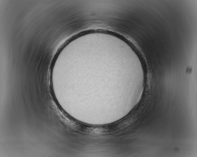X0000115010791200911231226