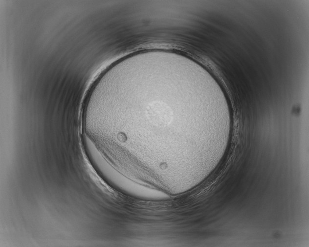 X0000115010795200911231226