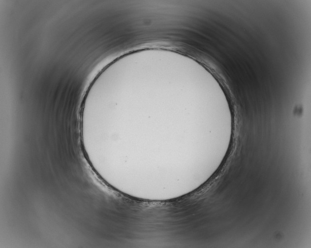 X0000115010808200911231225