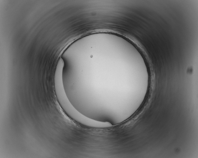 X0000115010809200911231225