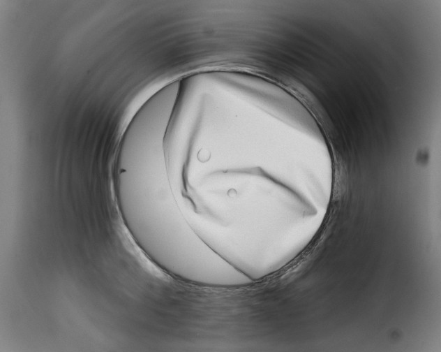 X0000115010812200911231225