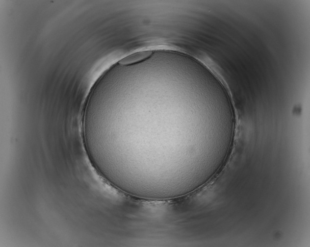 X0000115010813200911231225