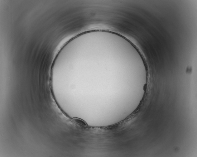 X0000115010815200911231225