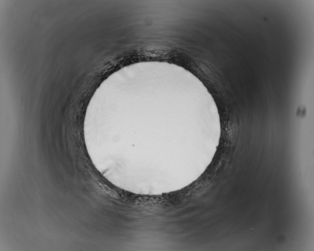 X0000115010817200911231225