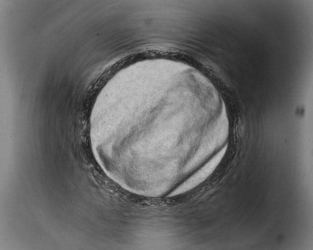 X0000115010822200911231225