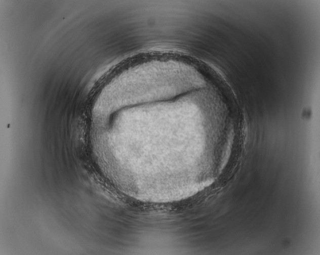 X0000115010823200911231225