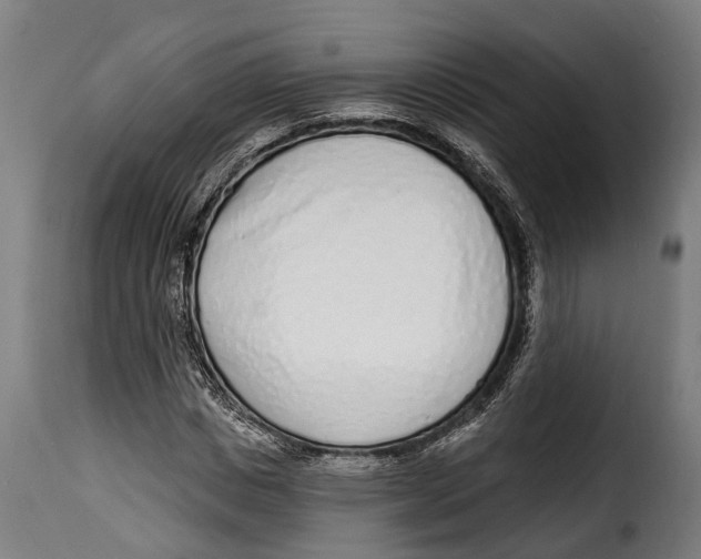 X0000115010825200911231225