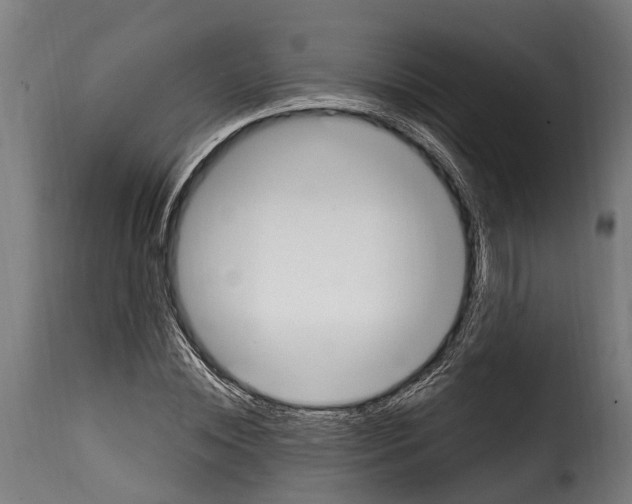 X0000115010828200911231225