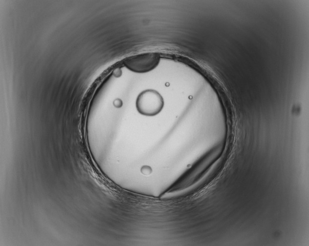 X0000115010830200911231225