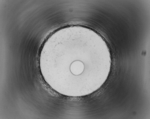 X0000115010832200911231225