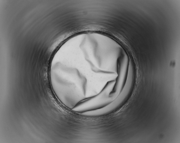 X0000115010834200911231225