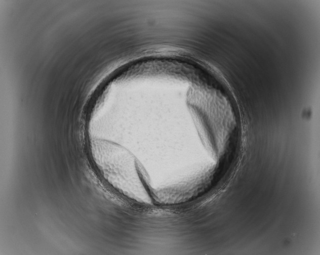 X0000115010835200911231225