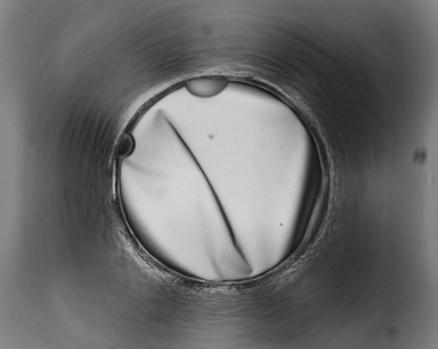 X0000115010838200911231225