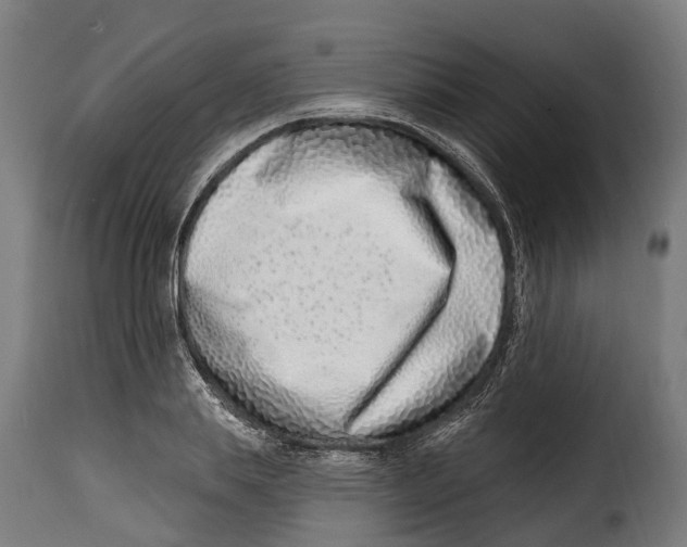 X0000115010839200911231225