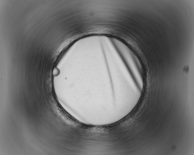 X0000115010842200911231225