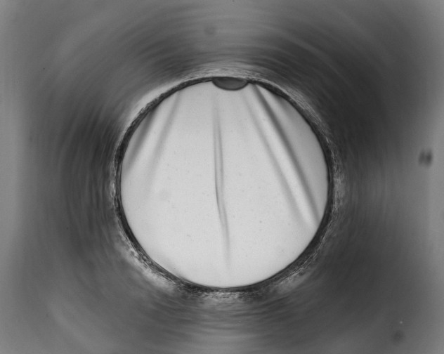 X0000115010846200911231225