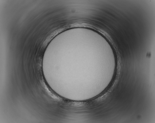 X0000115010849200911231225