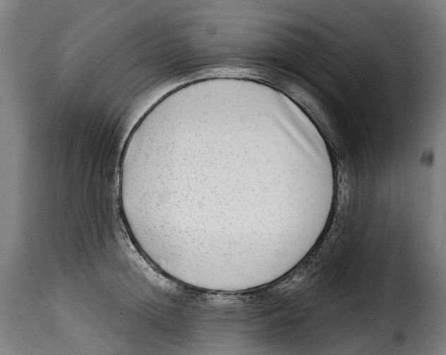 X0000115010852200911231225