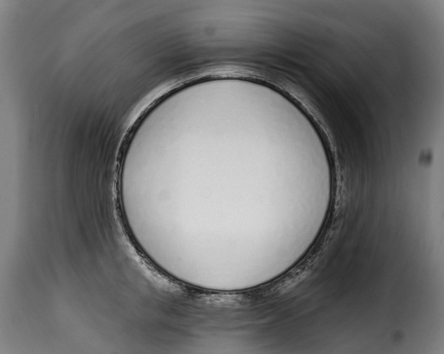 X0000115010853200911231225