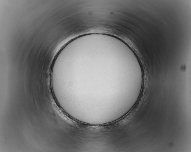 X0000115010854200911231225