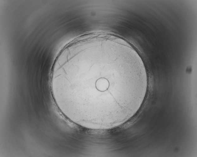 X0000115010856200911231225