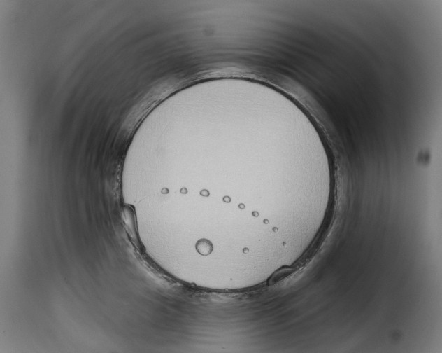 X0000115010857200911231225