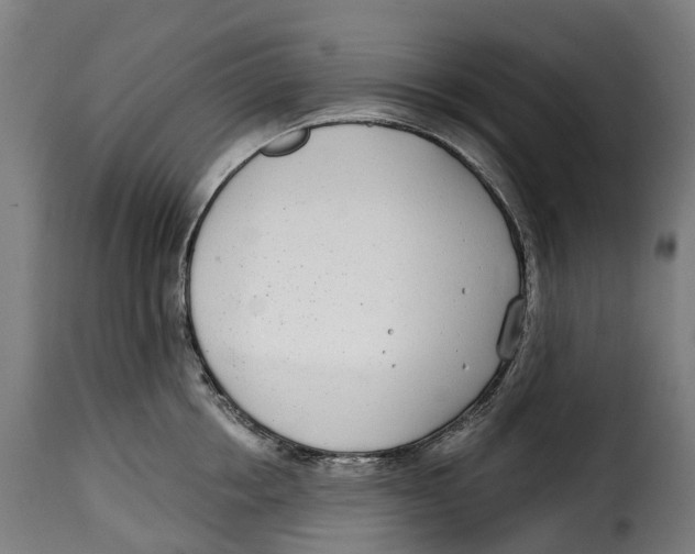 X0000115010858200911231225
