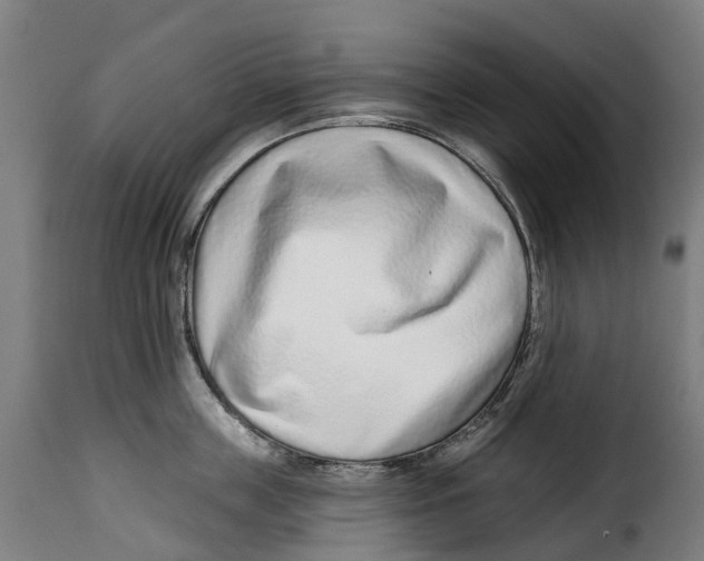 X0000115010859200911231225