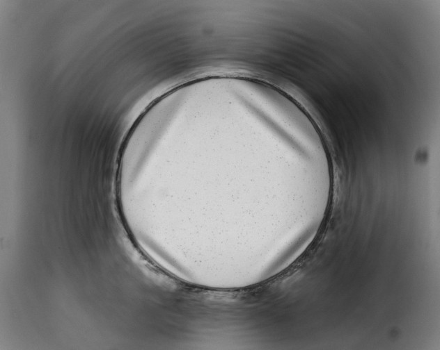 X0000115010861200911231225