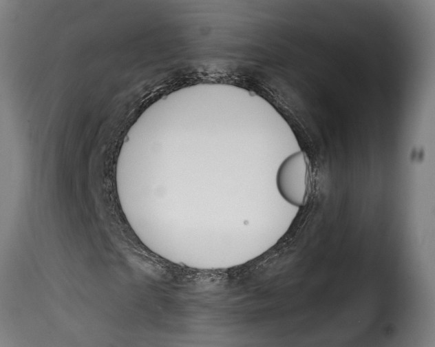 X0000115010865200911231224