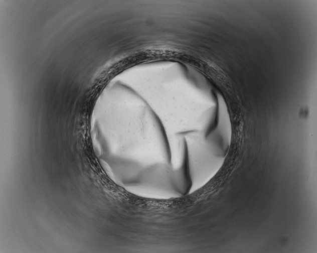 X0000115010870200911231224