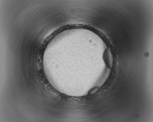 X0000115010871200911231224