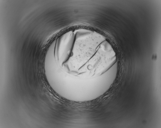 X0000115010872200911231224