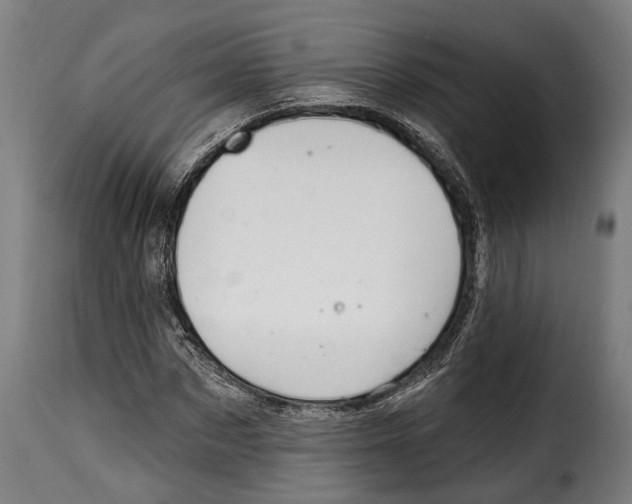 X0000115010873200911231224