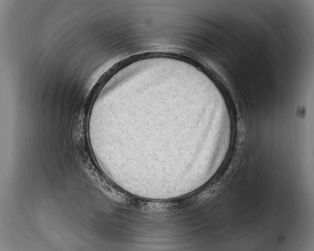 X0000115010875200911231224