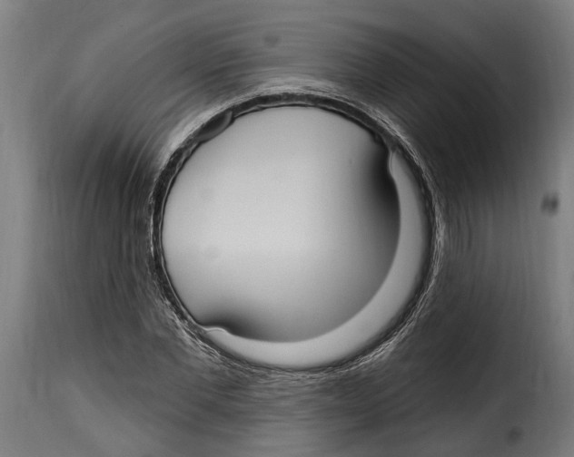 X0000115010877200911231224