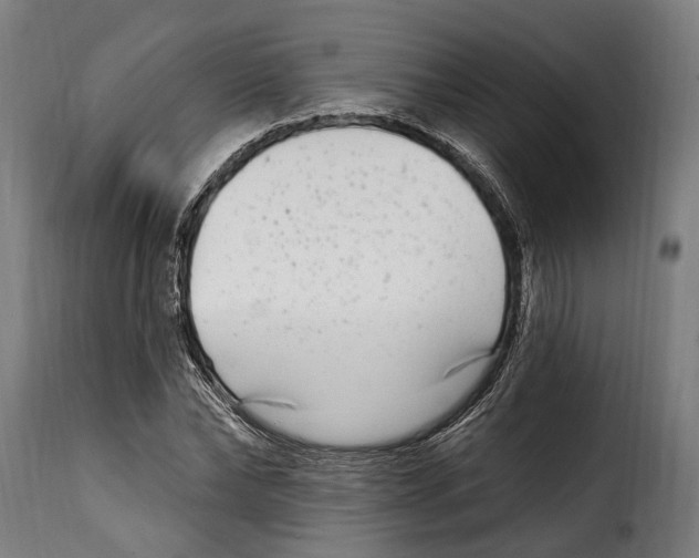 X0000115010878200911231224