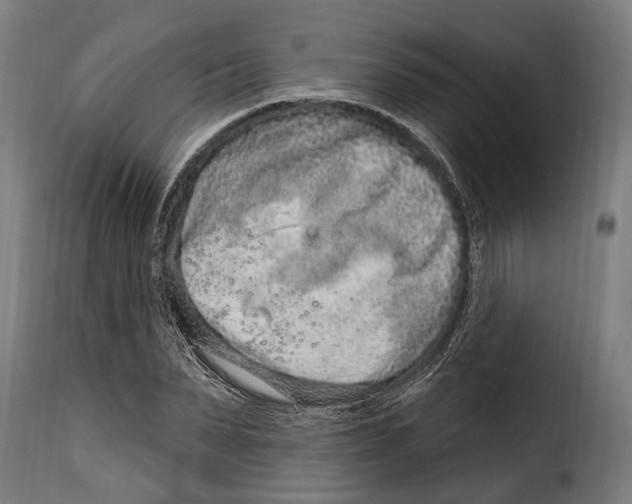 X0000115010879200911231224