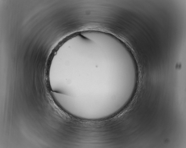 X0000115010880200911231224