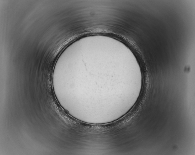 X0000115010881200911231224