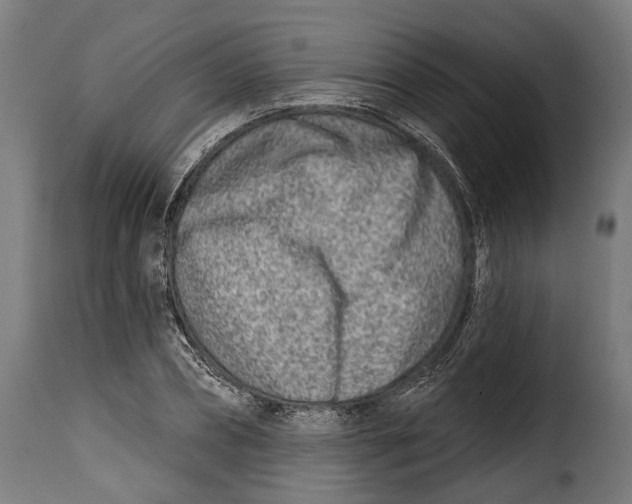 X0000115010882200911231224
