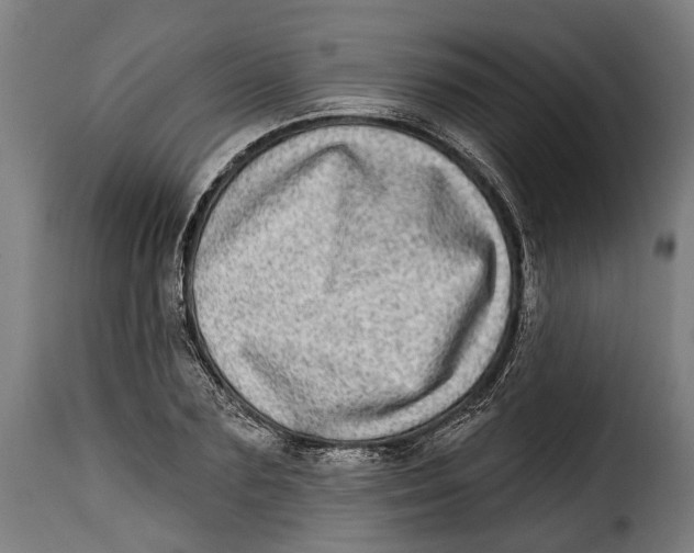 X0000115010883200911231224