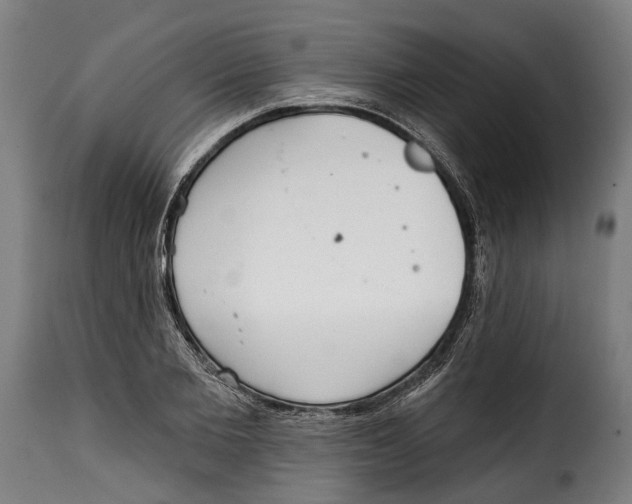 X0000115010885200911231224