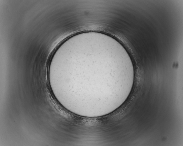 X0000115010886200911231224