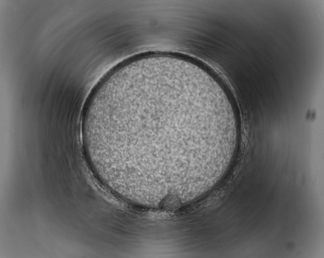 X0000115010887200911231224