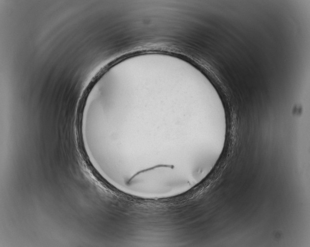 X0000115010888200911231224
