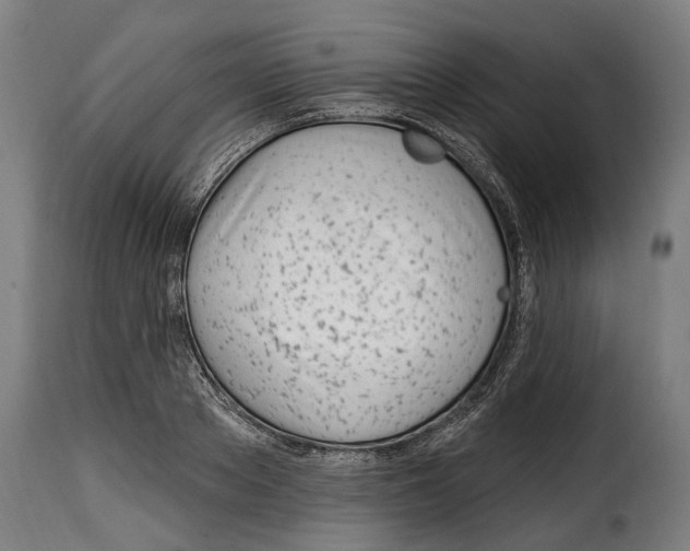 X0000115010889200911231224