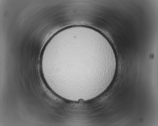 X0000115010895200911231224